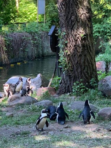2022.05.20 zoo01